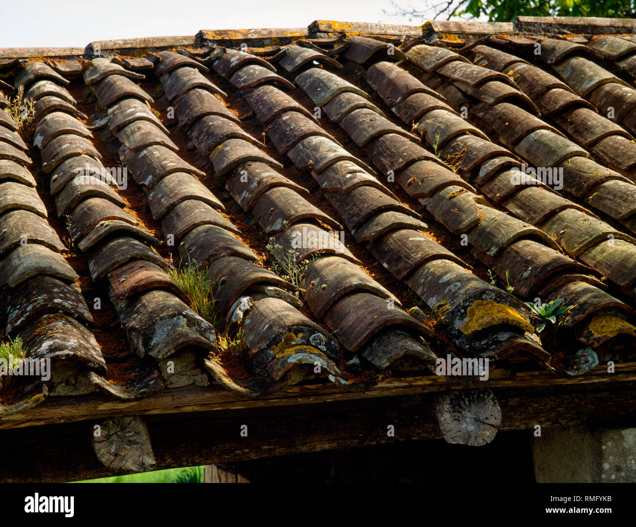 Detail of pigsty roof with terracotta canal tiles at Le Duet farmhouse outside the village of St Vivien de Monségur, near La Réole, Bordeaux, France.  Stock Photo