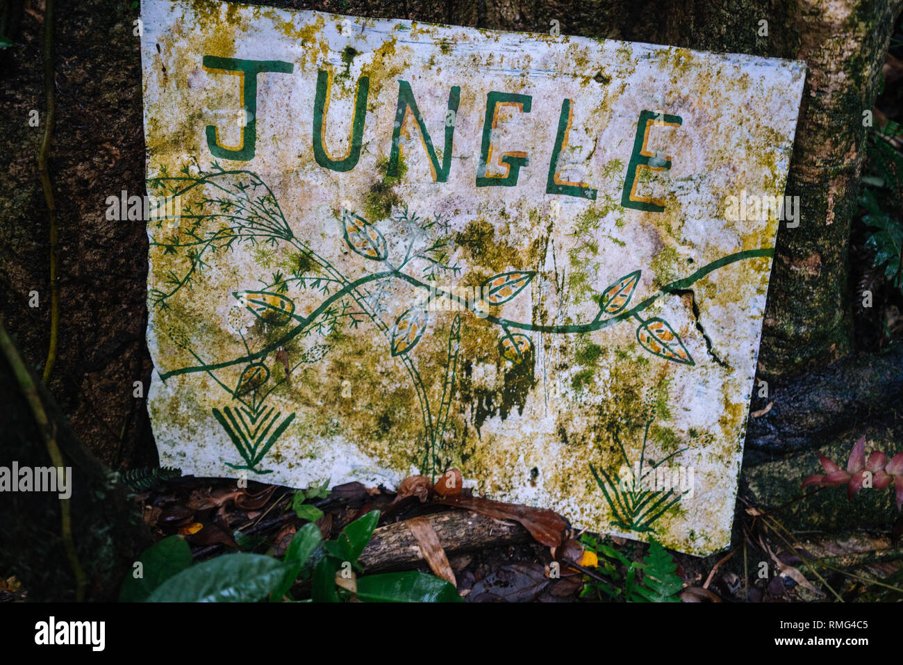 Aged dirty tablet with jungle inscription on land near trees in Jamaica Stock Photo Alamy
