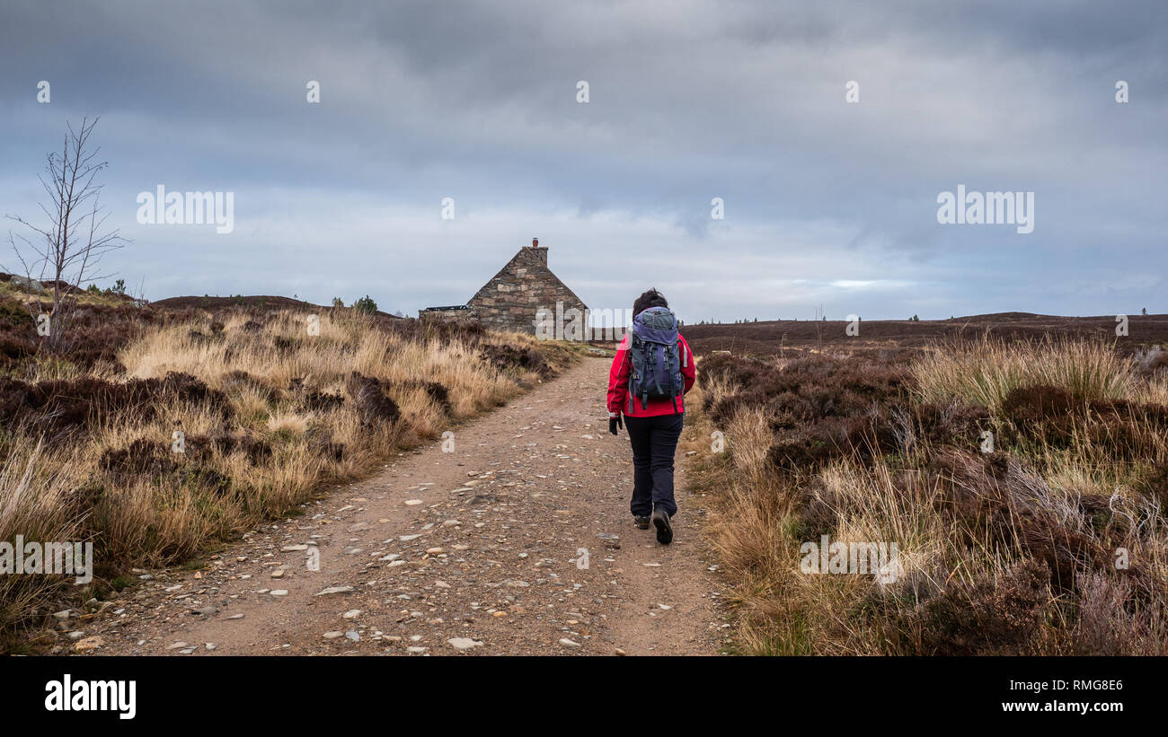 Mature Lady in red jacket walking towards Ryvoan Bothy in the Cairngorms National Park, Scotland Stock Photo