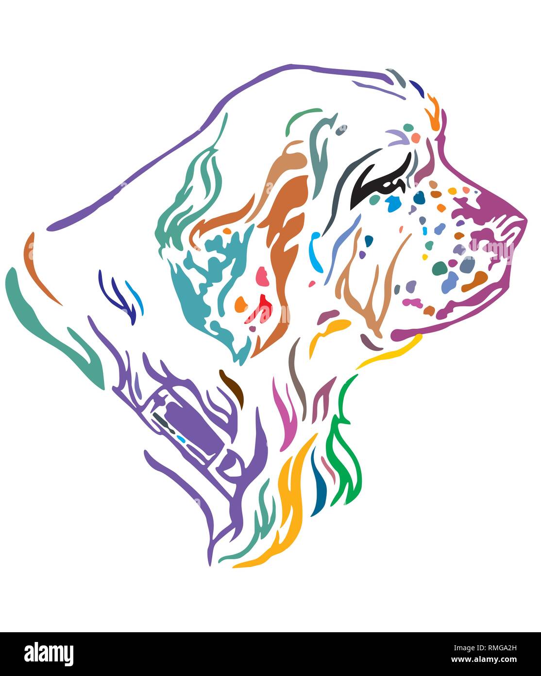 Colorful decorative outline portrait of Dog Clumber Spaniel looking in profile, vector illustration in different colors isolated on white background.  Stock Vector