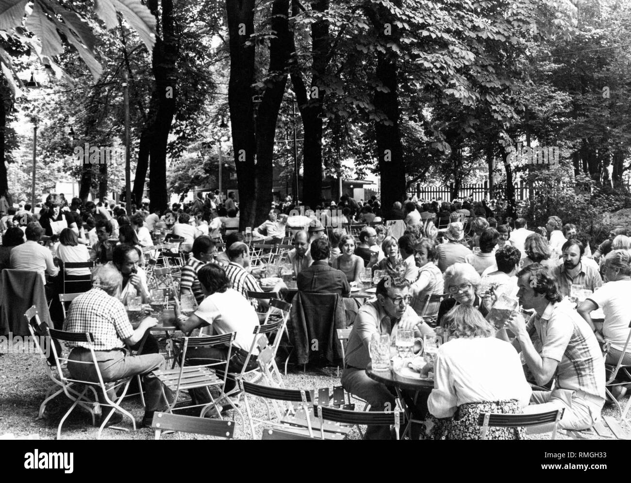 Many people are sitting in the beer garden of Augustiner-Keller in the Arnulfstrasse in Munich. Stock Photo