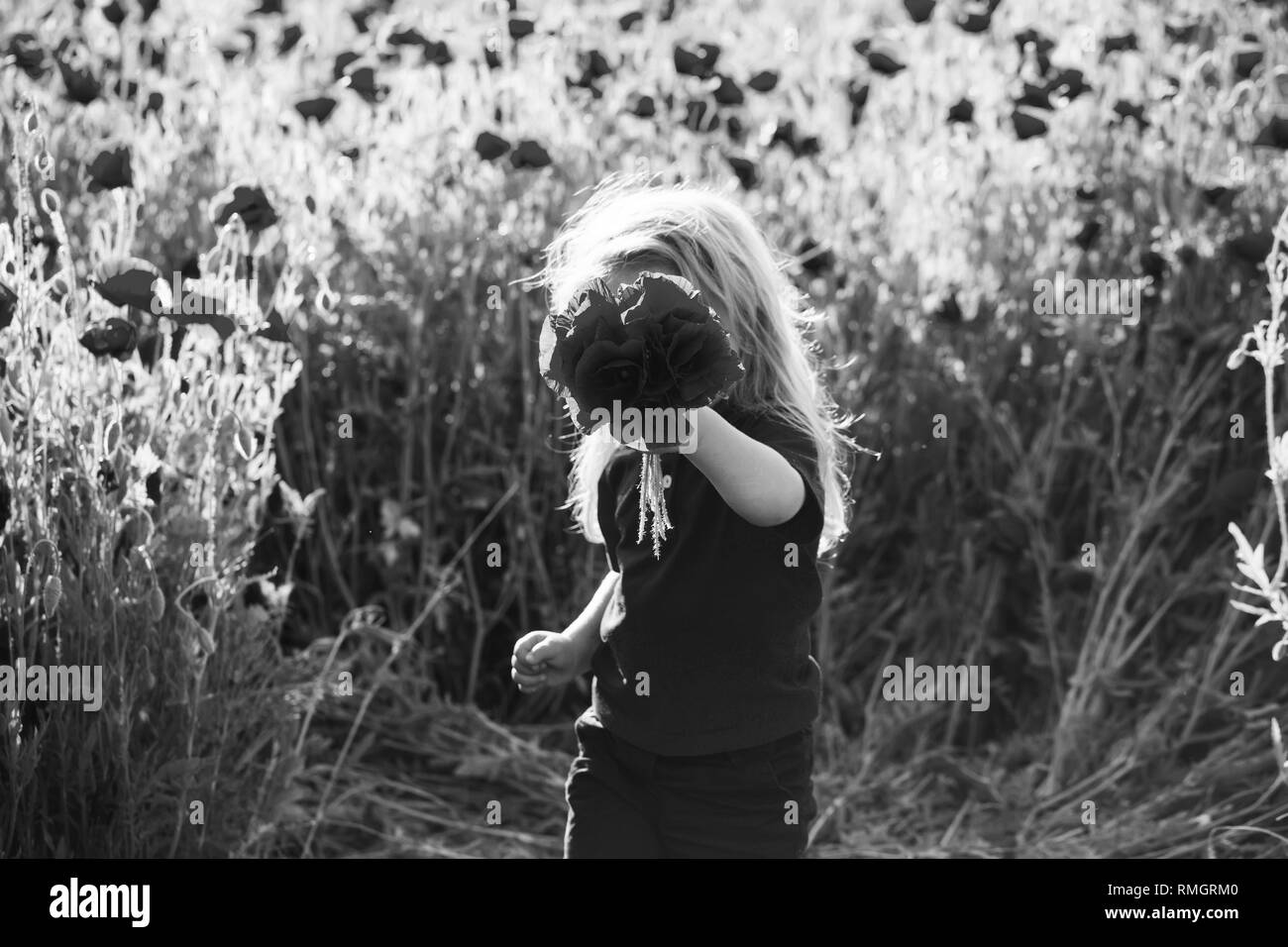 kid or little boy in field of poppy seed Stock Photo - Alamy