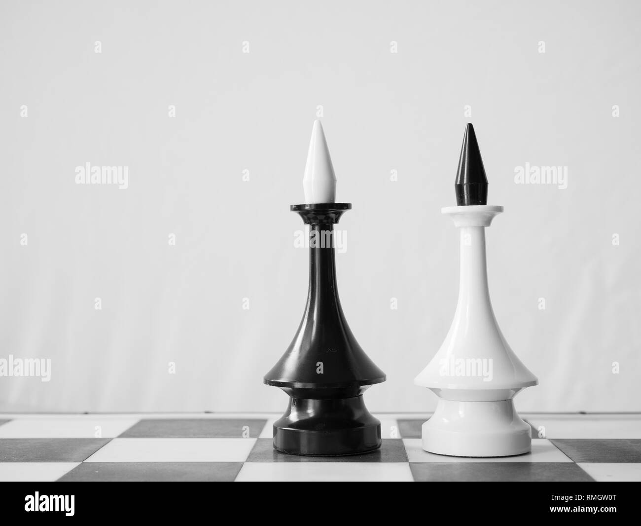 homosexual pair or gay marriage concept. two chessman kings on chessboard Stock Photo
