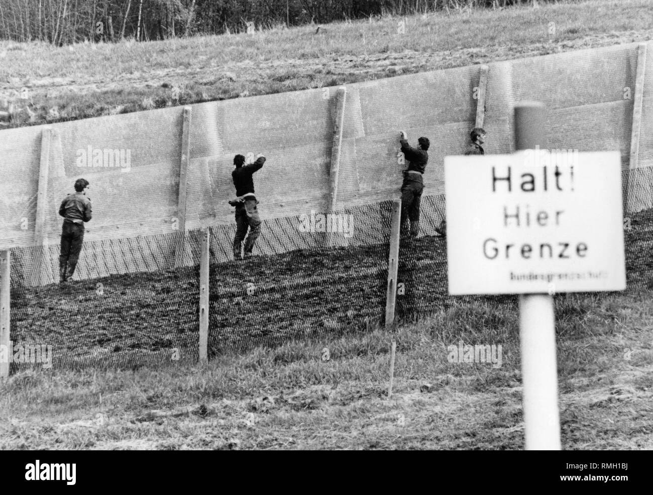 Members of the GDR border troops renew the fortifications on the inner German border. Stock Photo