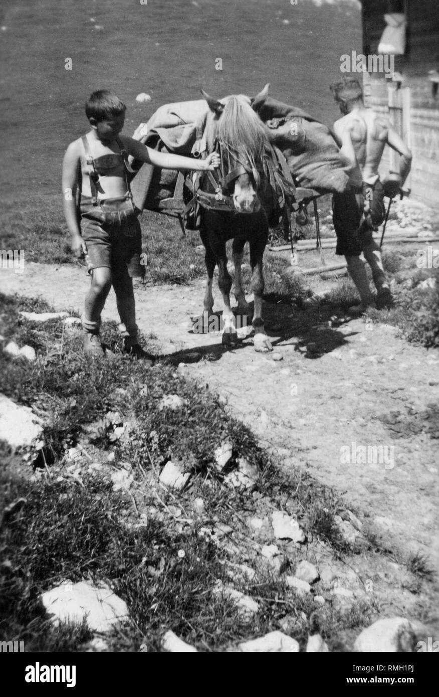 Two boys with a pack mule during a hike in the Alps near Vorderkaiserfelden. Stock Photo