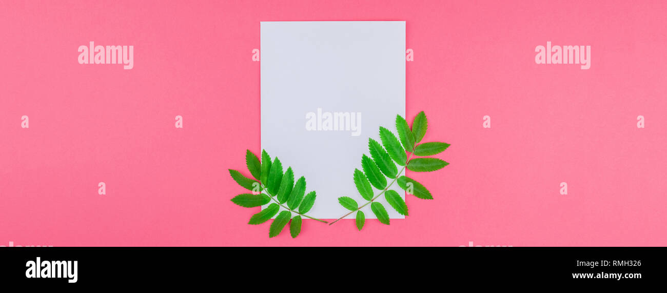 Creative flat lay top view white letter mock up with fresh green rowan ...