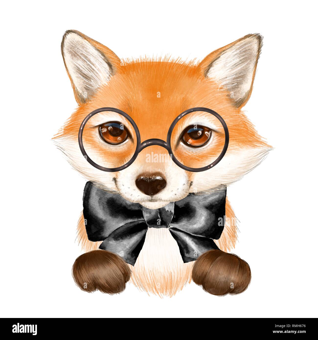 Cute cartoon fox wearing glasses Stock Photo