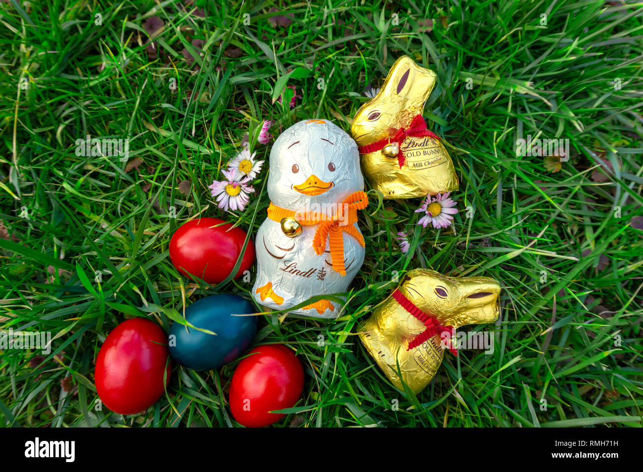 Lindt swiss golden milk chocolate bunny with red collar bell and a chocolate duck hidden in the grass Traditional chocolate on Easter holidays on egg  Stock Photo