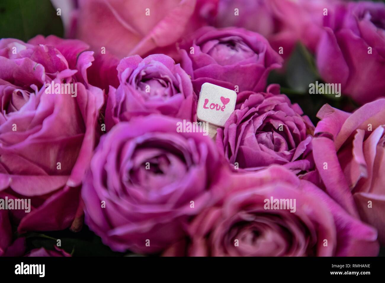 Beautiful roses background Stock Photo - Alamy