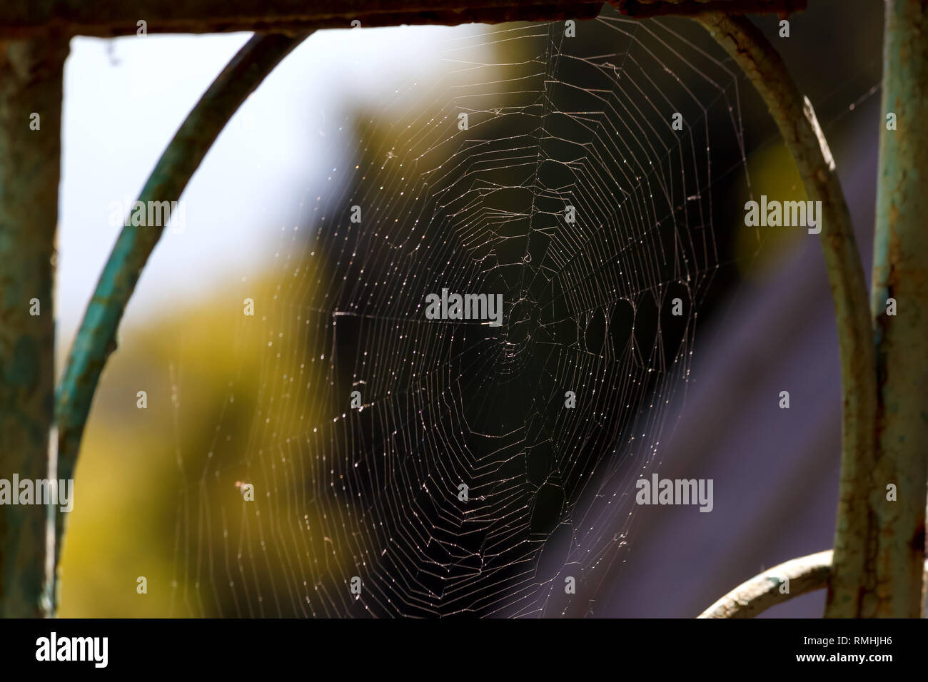 Rusty Web Spider web on rusty balcony fence on blurred background. Selective ...
