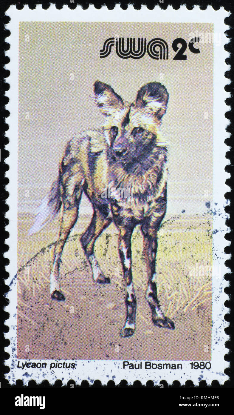 Wild dog on south african postage stamp Stock Photo