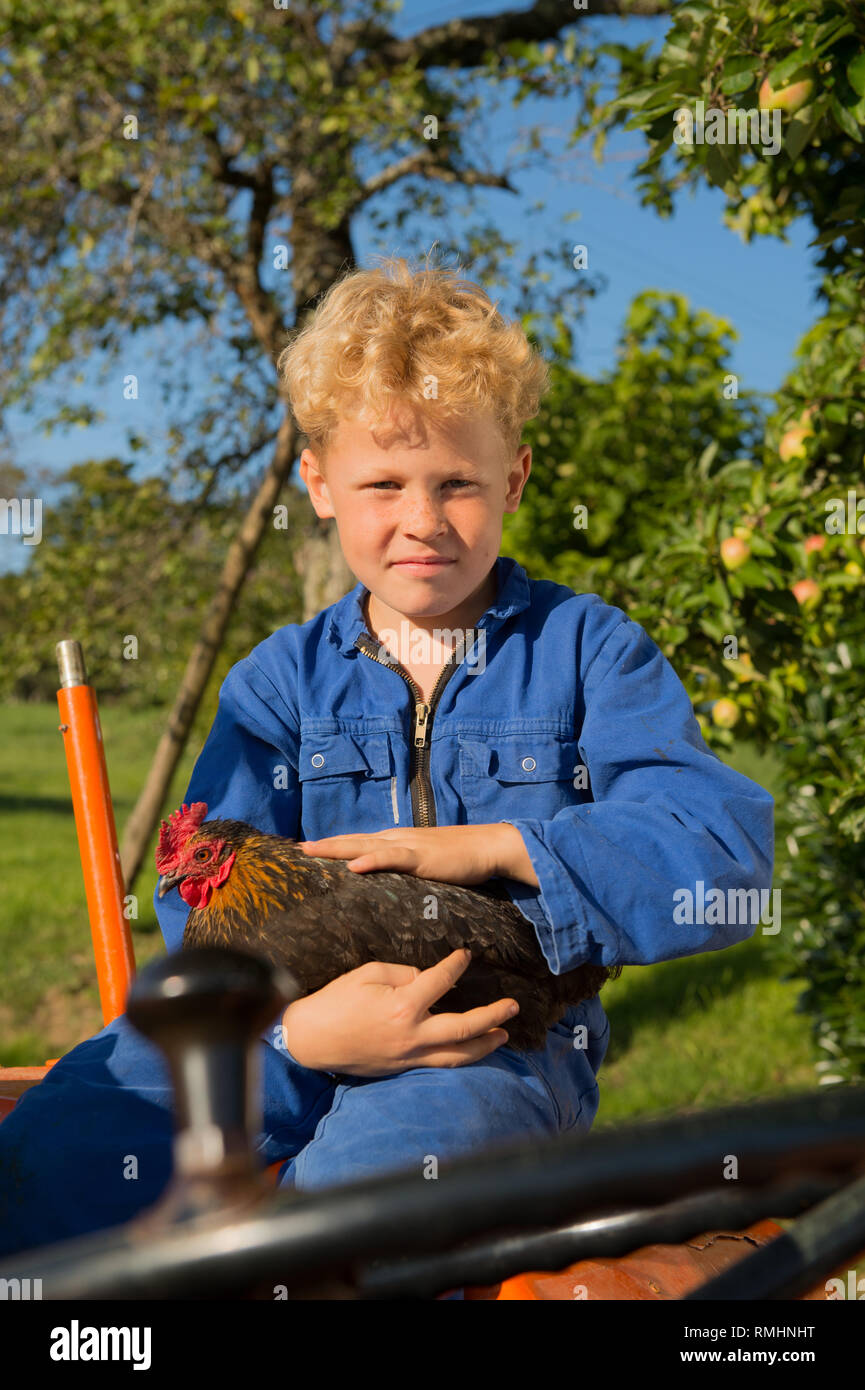 Farm boy with chicken riding on orange tractor Stock Photo - Alamy