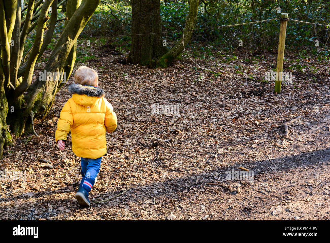 Young boy exploring outdoors and learning to climb trees Stock Photo