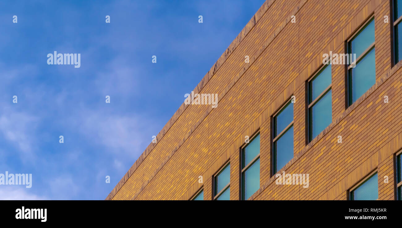 Vivid details hi-res stock photography and images - Alamy