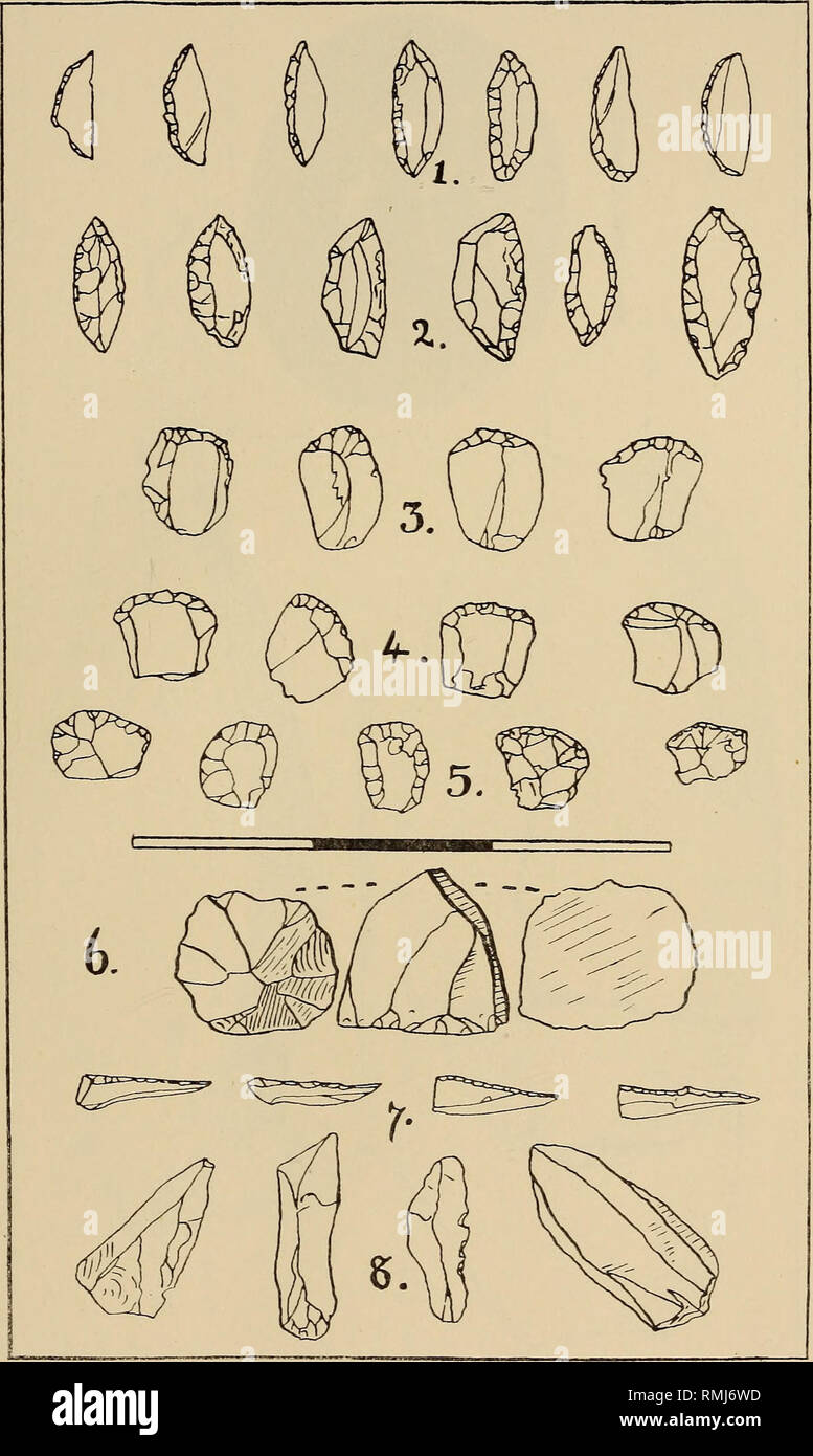 . Annals of the South African Museum = Annale van die Suid-Afrikaanse Museum. Natural history. Ann. S. Afr. Mus., Vol. XXVII. Plate XLI.. Wilton types from Cape Plats. 1, Single crescents ; 2, double crescents ; 3, end- scrapers ; 4, thumbnail scrapers ; 5, horseshoe scrapers ; 6, three views of a core ; 7, bead borers ; 8, unworked flakes.. Please note that these images are extracted from scanned page images that may have been digitally enhanced for readability - coloration and appearance of these illustrations may not perfectly resemble the original work.. South African Museum. Cape Town : T Stock Photo