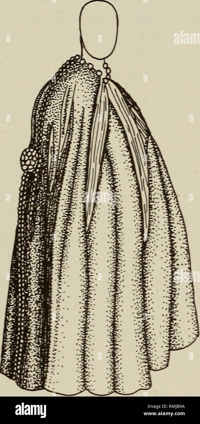 . Annals of the South African Museum = Annale van die SuidAfrikaanse