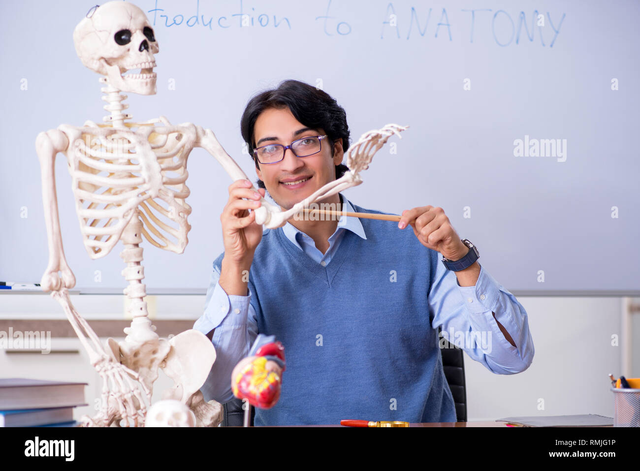 Young lecturer teacher teaching anatomy Stock Photo Alamy