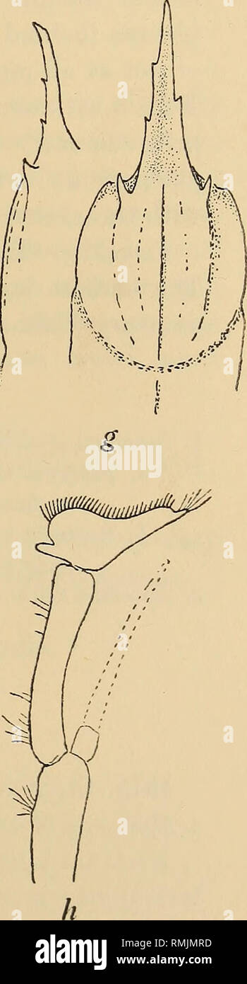 . Annals of the South African Museum = Annale van die Suid-Afrikaanse ...
