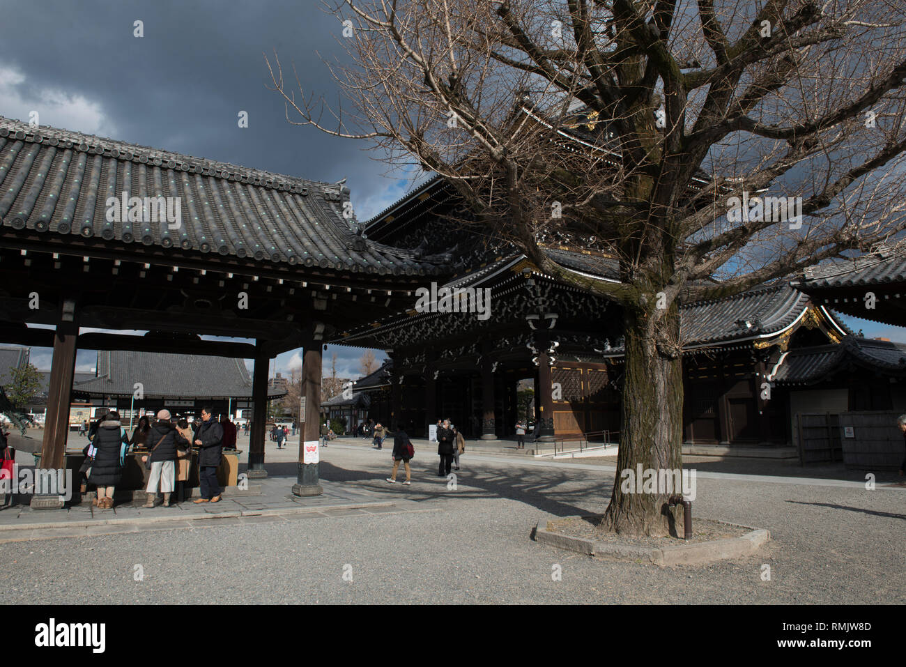 Dragon Fountain, next to tree, Higashi Honganji Temple, Kyoto, Japan Stock Photo