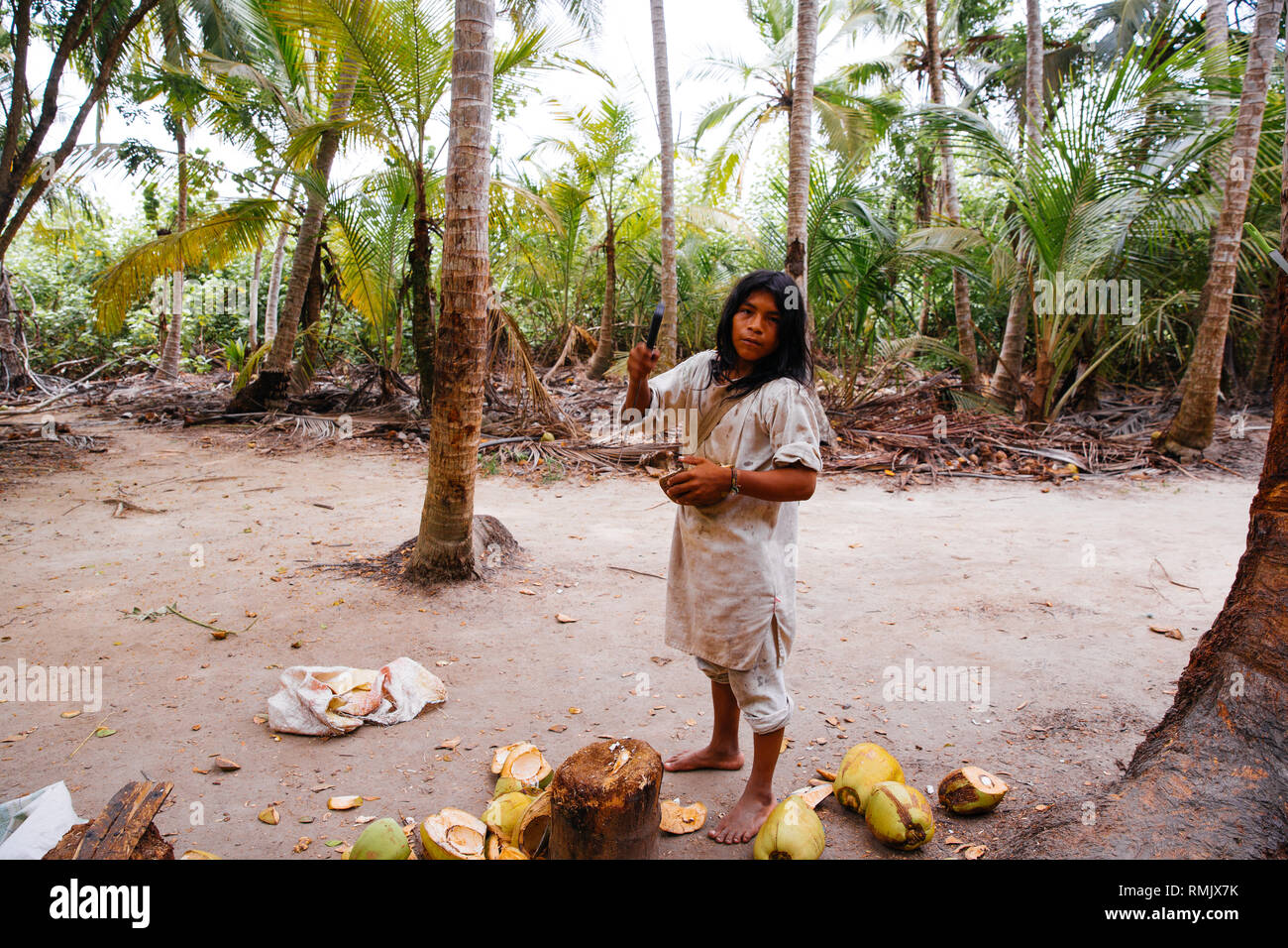 An indigenous local carves a coconut in the Parque Nacional Natural Tayrona in Santa Marta, Colombia Stock Photo