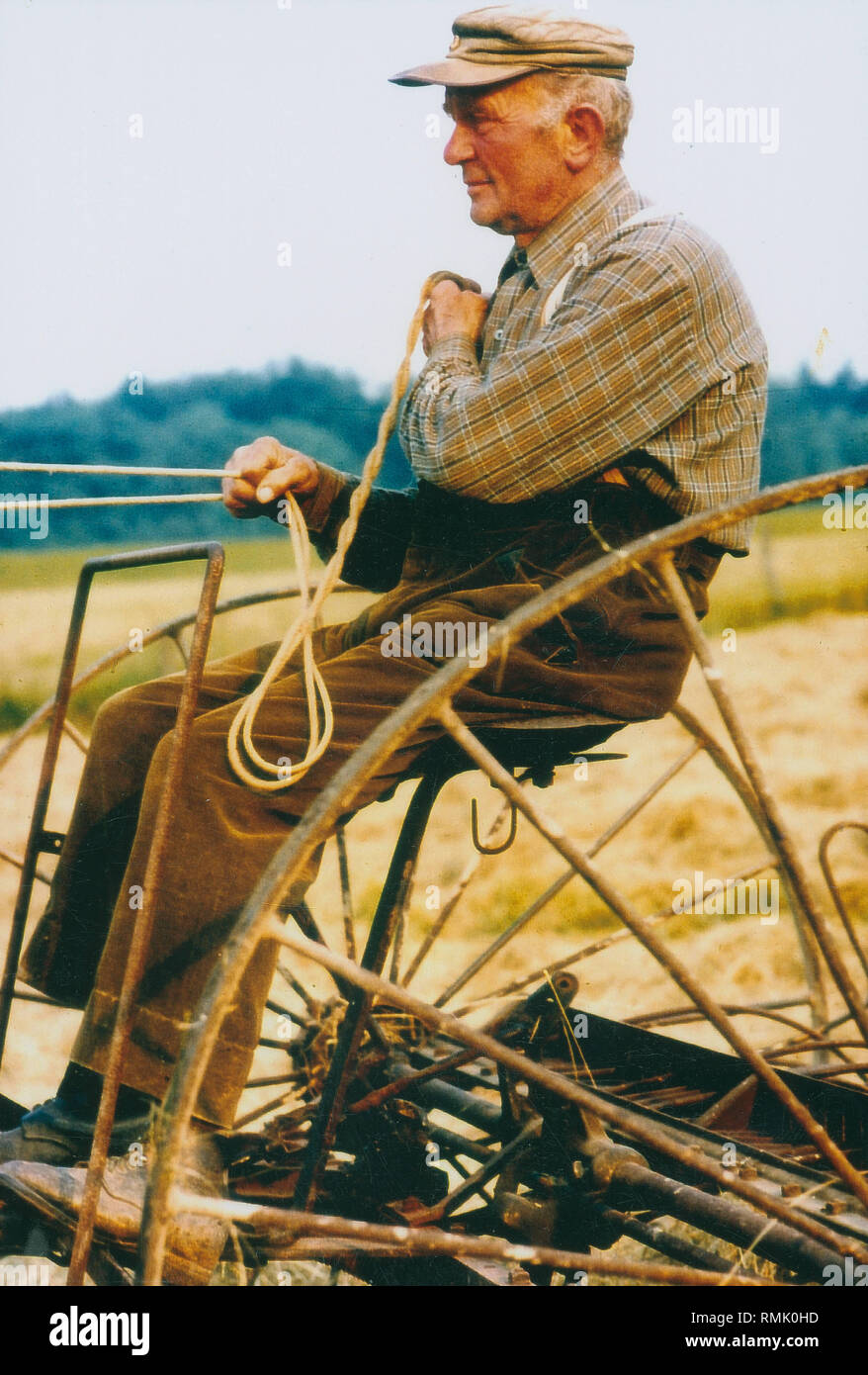 A farmer sits on a horsedrawn hay tedder at harvest Stock Photo Alamy
