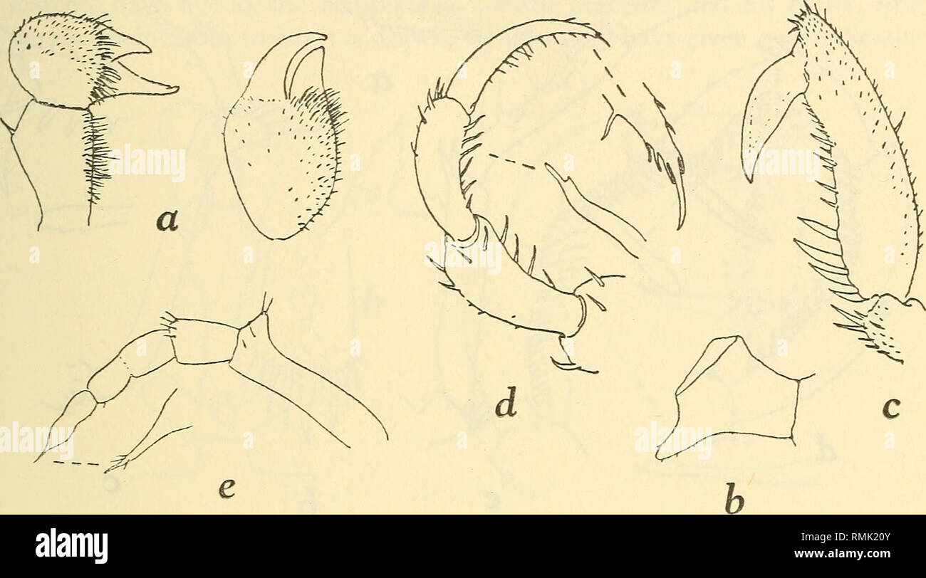 . Annals of the South African Museum = Annale van die Suid-Afrikaanse ...