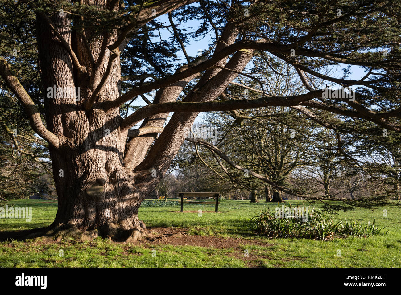 Oxford University Parks in Winter Stock Photo