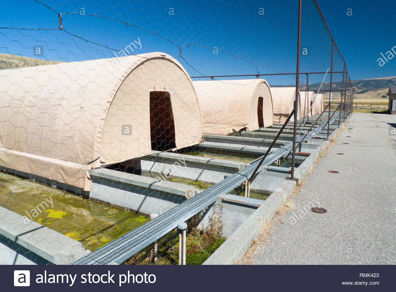 Jackson National Fish Hatchery High Resolution Stock Photography and