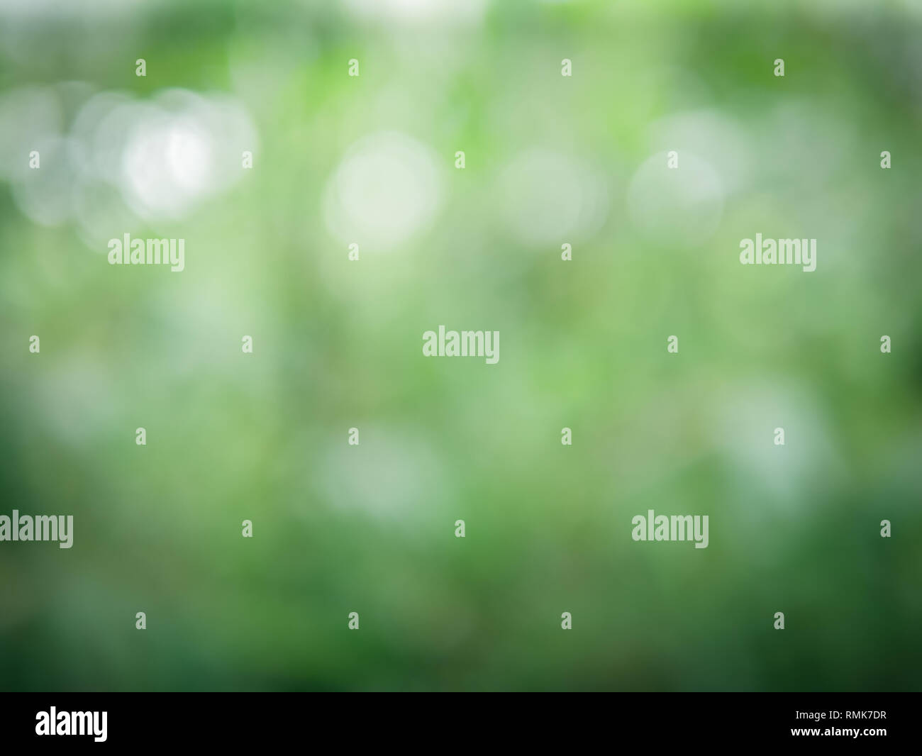 Spring Background With Bokeh Effects High Resolution Stock