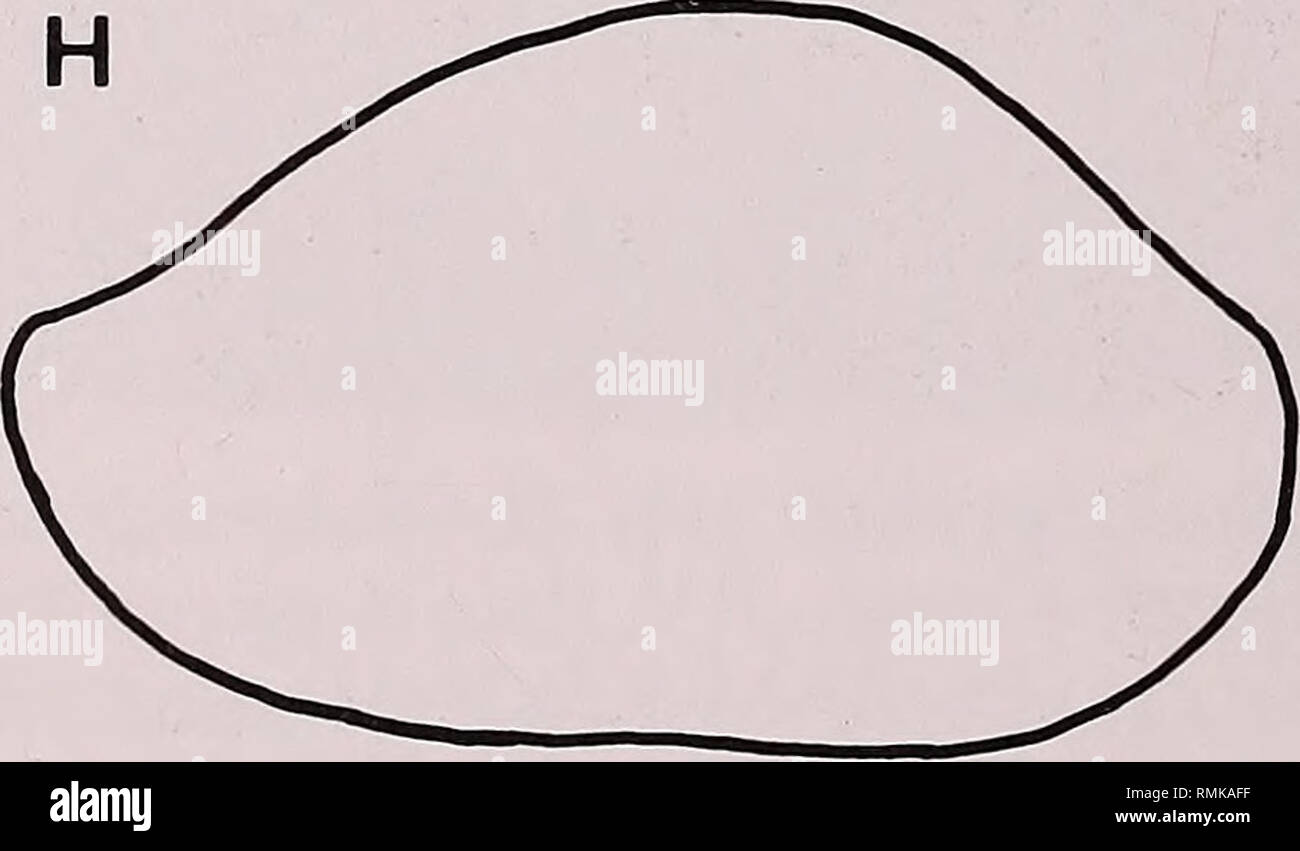 Page 3 B C Rv High Resolution Stock Photography And Images Alamy