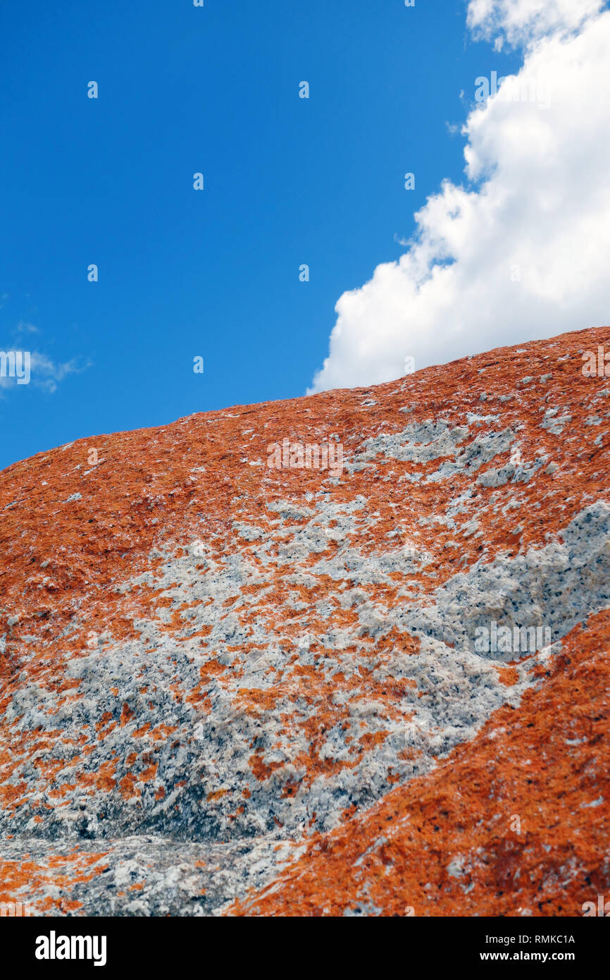 Orange lichen on coastal rocks, Binalong Bay, Bay of Fires, Tasmania, Australia Stock Photo