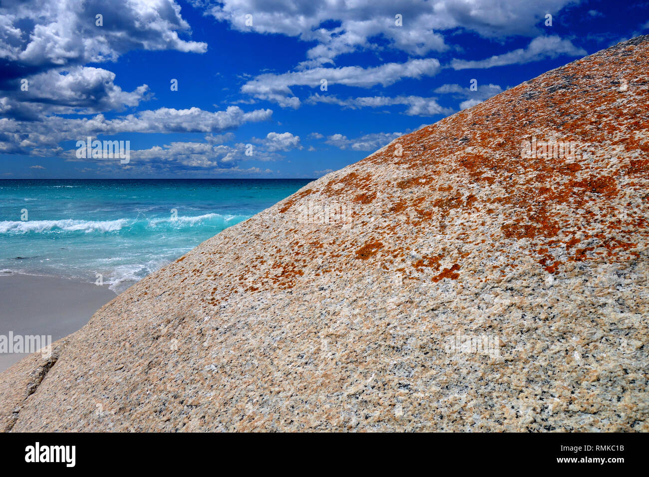 Orange lichen on coastal rocks, Binalong Bay, Bay of Fires, Tasmania, Australia Stock Photo