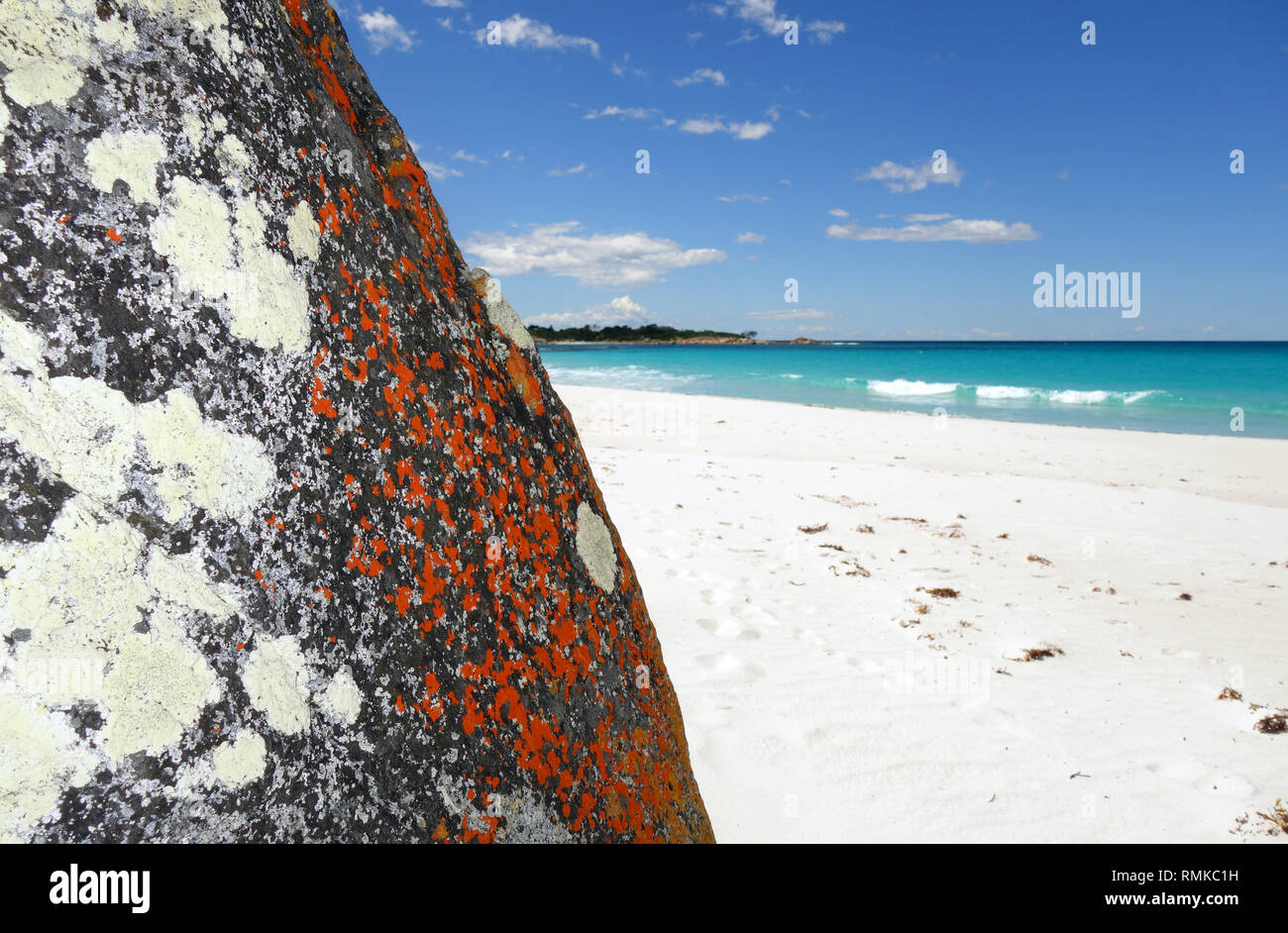 Orange lichen on coastal rocks, Taylors Beach, Bay of Fires, Tasmania, Australia Stock Photo