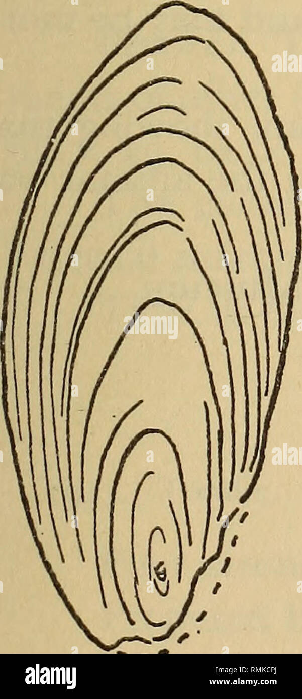 Loc Profile Stock Photos Loc Profile Stock Images Alamy