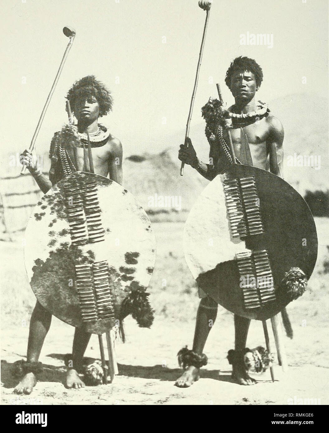 . Annals of the South African Museum = Annale van die Suid-Afrikaanse Museum. Natural history. 382 ANNALS OF THE SOUTH AFRICAN MUSEUM. Fig. 48. Swazi men with war shields. (Duggan-Cronin collection, McGregor Museum.) MUSICAL INSTRUMENTS Terms: luveve—whistle; itambula—drum (Kirbv 1934: 25. 112); mandzawe—drum (Marwick 1940: 82). A piece of smooth goatskin, held over the mouth of a clay pot by the drum- mer or an assistant, formed the head of a drum that was used at ceremonies or divinations; this type of drum was beaten with a reed. Itambula (possibly derived from the Portuguese word tambula)  Stock Photo
