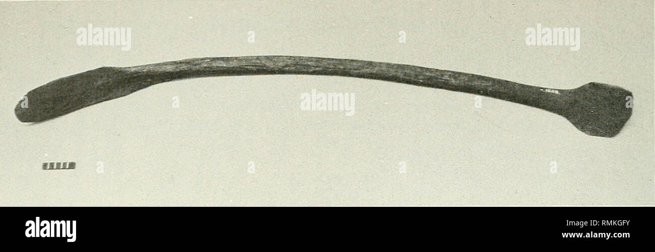 . Annals of the South African Museum = Annale van die SuidAfrikaanse