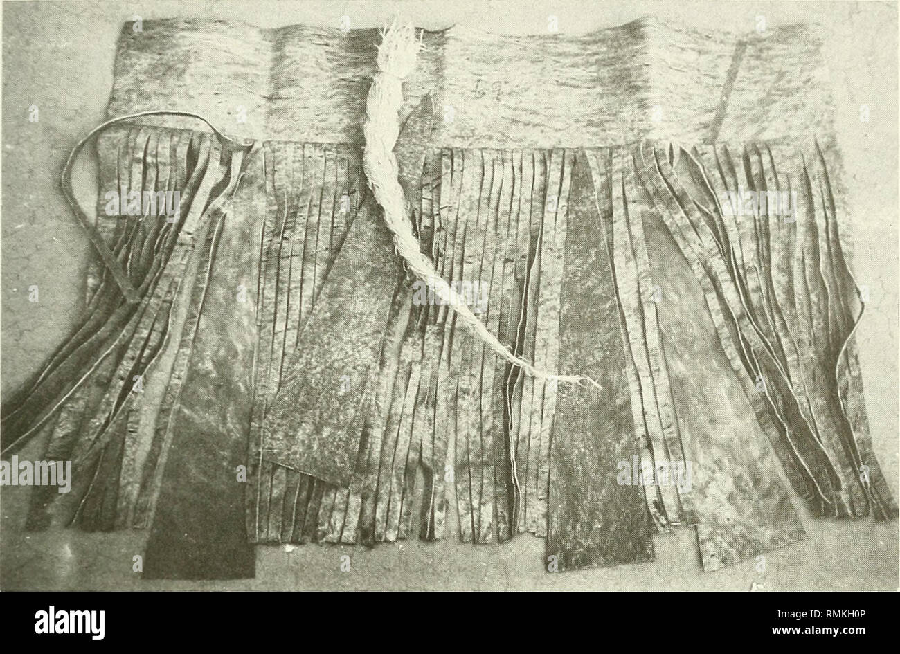 . Annals of the South African Museum = Annale van die Suid-Afrikaanse Museum. Natural history. SOME NGUNI CRAFTS: SKIN-WORKING TECHNOLOGY 367. Fig. 38. Hide cut to make a skin skirt, isidwaba: Bergville, 1969. Showing deep waistband, narrow strips, wide wedge-shaped panels, and sinew thread for sewing. Drakensberg area In 1969 Ngwane skin-workers made skirts for Ngwane and Zizi customers on the same pattern as the Zulu isidwaba. Southern Natal Formerly skirts of ox- or cowhide, or goatskin, were long and reached to the ankles, according to a contemporary of Cetshwayo's from the Umlazi area (We Stock Photo