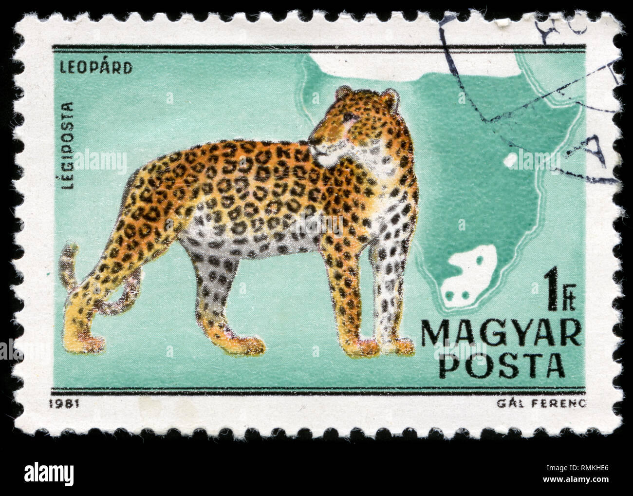 Postage stamp from Hungary in the Fauna of Africa (1981) series Stock Photo