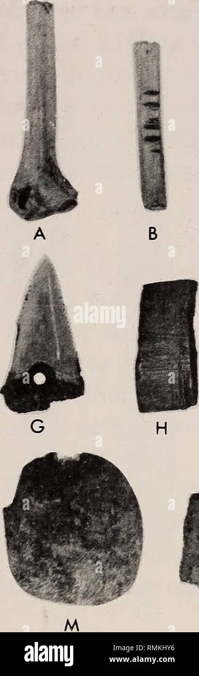 . Annals of the South African Museum = Annale van die Suid-Afrikaanse Museum. Natural history. BYNESKRANSKOP 1 81. 1 t B C D F ) I J K L Lhkd O J Fig. 32. Bone artefacts. A. Articular end of grooved and snapped bird bone. C-E. Bird bone tubes (D and E broken). G-Q. Ornaments. A, C. Layer 5. B, D, F. Layer 4. Es I, K-L, N-O. Layer 1. G. Layer 7. H, M. Layer 6. J. Layer 13. P. Layer 3. Q. Layer 2. only the second appears to have reached any degree of completion, having a finely ground edge. The fifth piece from this layer, not illustrated, is doubtfully ascribed to this class: it is a small bone Stock Photo