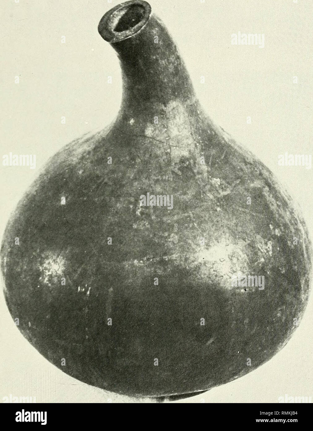 . Annals of the South African Museum = Annale van die Suid-Afrikaanse Museum. Natural history. SOME NGUNI CRAFTS: CALABASHES 15 No museum specimens were seen nor was any information obtained in the field. Mpondo Water and beer calabashes were observed in use among the Mpondo at Nxukhwube, Libode, 1969. No information was obtained in the literature nor in museum collections. Thembu, Bomvana, Mpondomise, Mfengu, Hlubi, Bhaca, Xesibe No information was obtained in the literature, museum collections nor in. CM. I I I i i | i l l Fig. 14. Mfengu milk calabash, Sotho location, Haga Haga, Ciskei, 197 Stock Photo