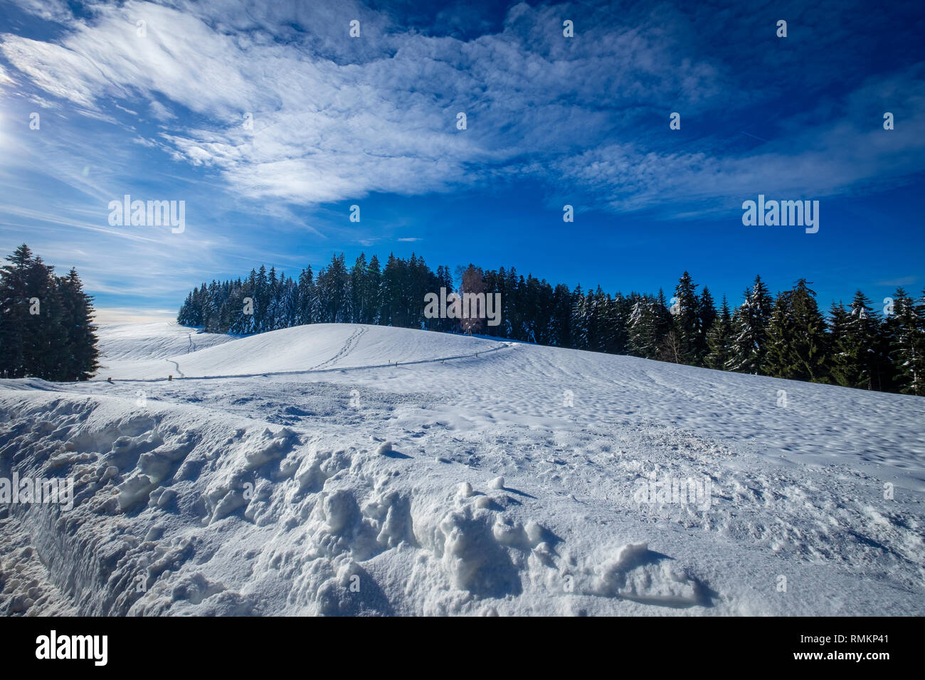 Schneelandschaft Am Pfänderrücken Stock Photo - Alamy