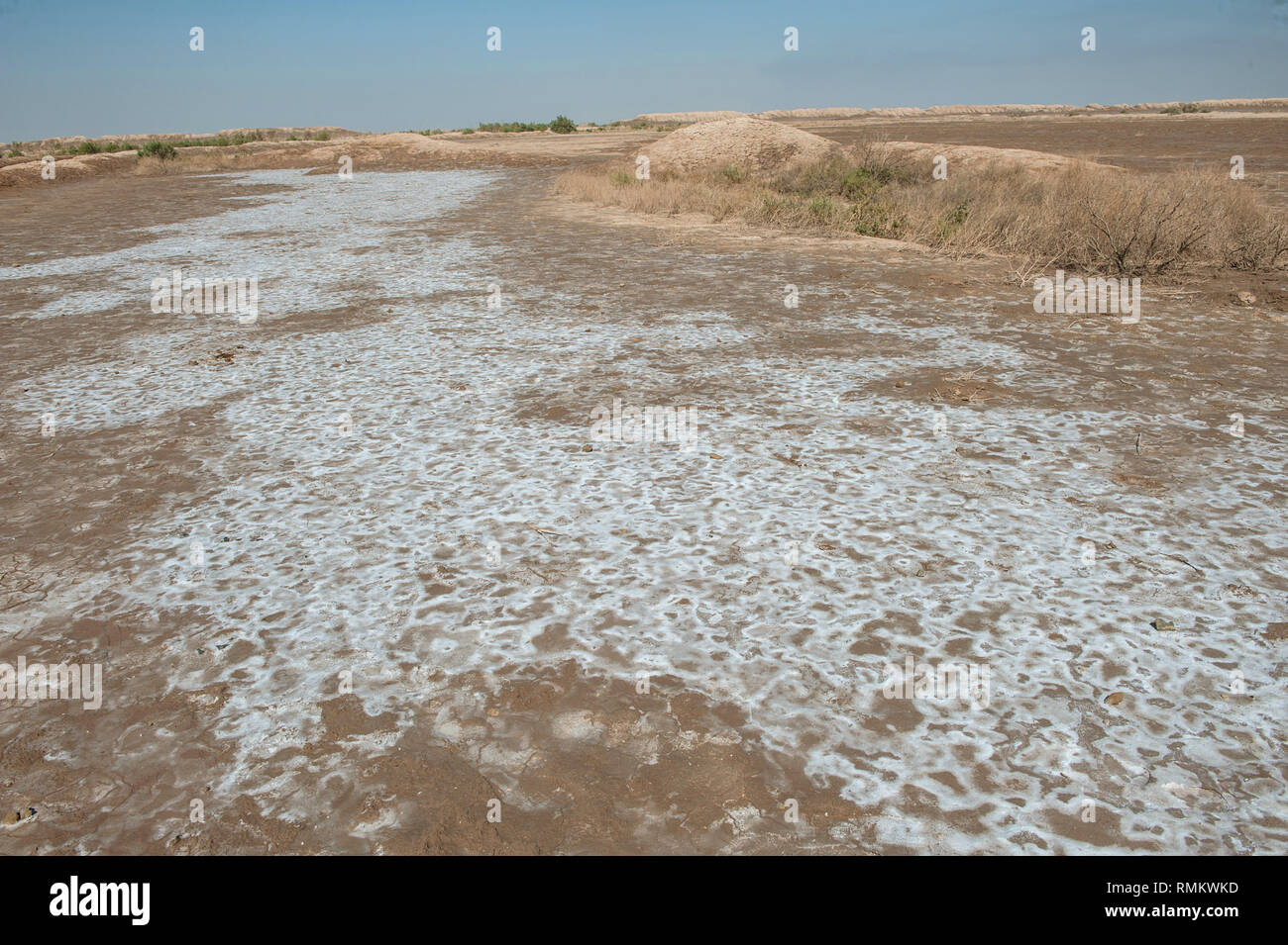 Desert Salt