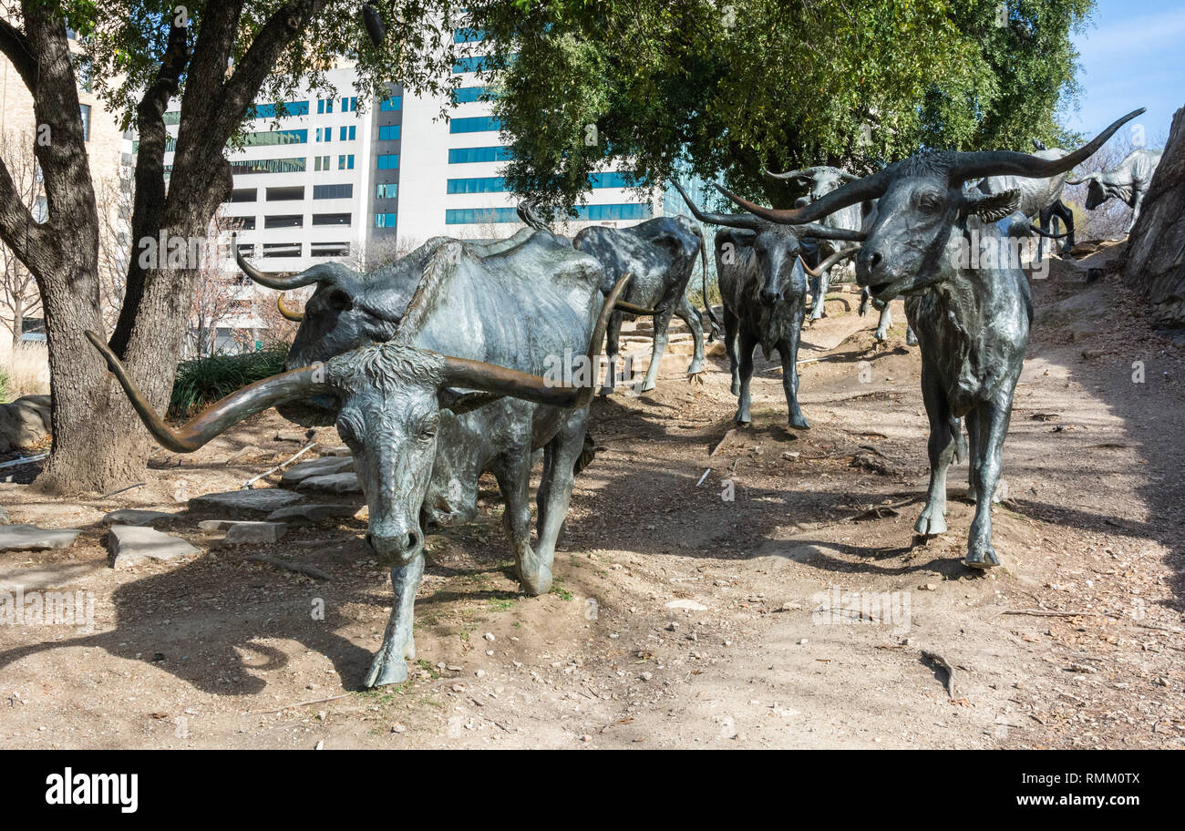 Texas longhorn sculpture hires stock photography and images Alamy