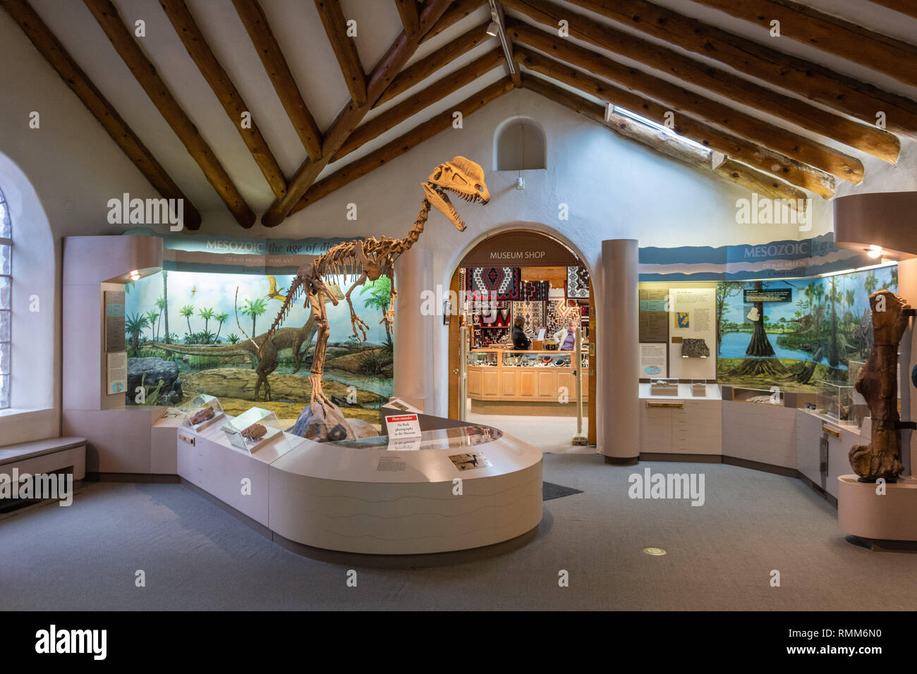 Flagstaff, Arizona, United States of America January 5, 2017