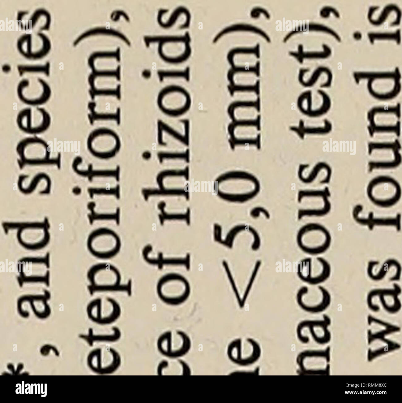 Annals Of The South African Museum Annale Van Die Suid Afrikaanse Museum Natural History The South African Museum S Meiring Naude Cruises 47 P P Pi Ipf P 0 P U Ooooooc D Mttr Lt Lt Nfs Quot Lt Ncntsnr Nttttiot T H X X X X