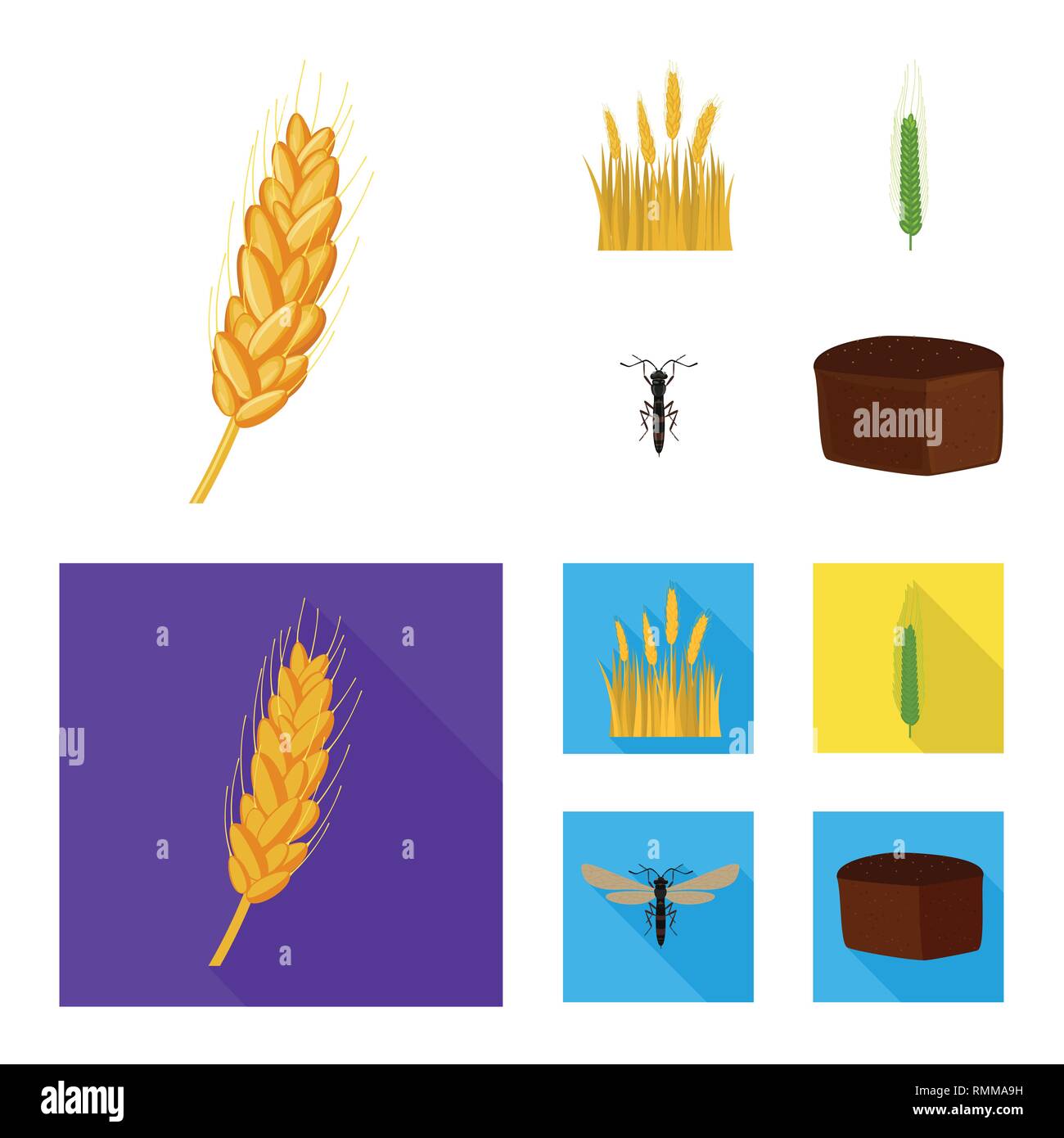 spring,fly,bread,spike,winter,insect,durum,barley,pest,brown,flour,land ...