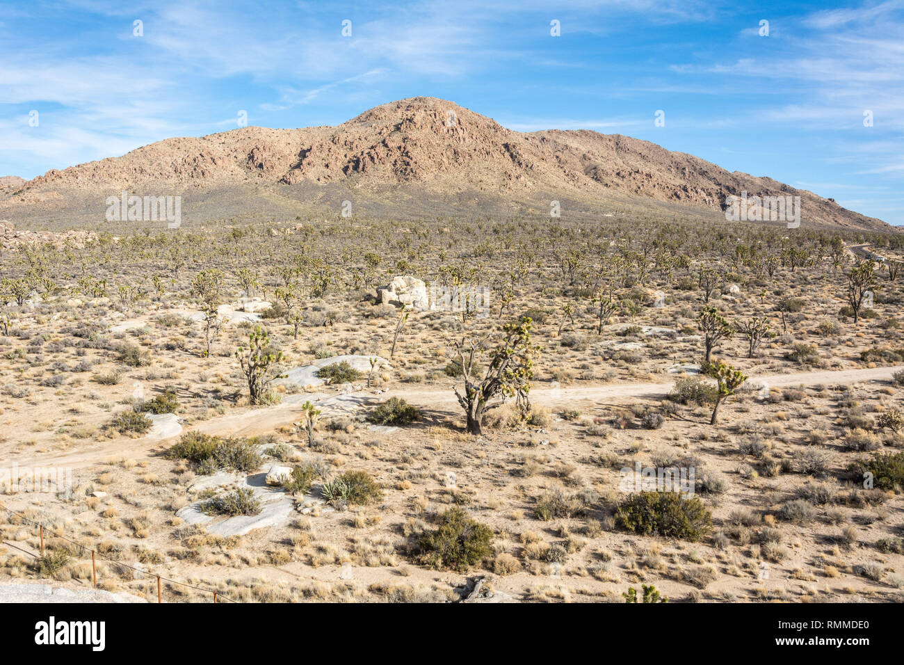 Landscape in Mojave Desert in California. Stock Photo