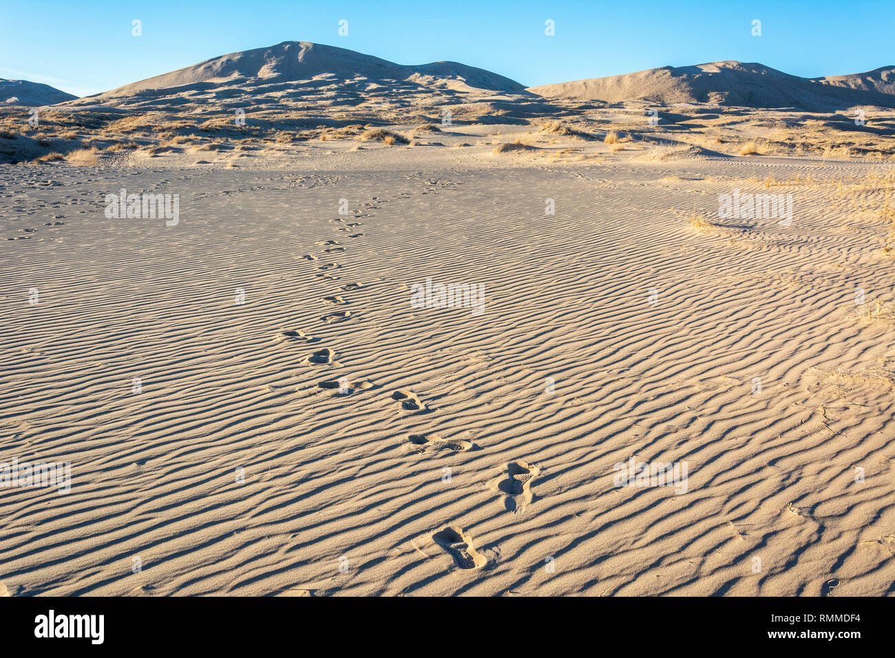 Sand dunes in Mojave Desert in California Stock Photo Alamy