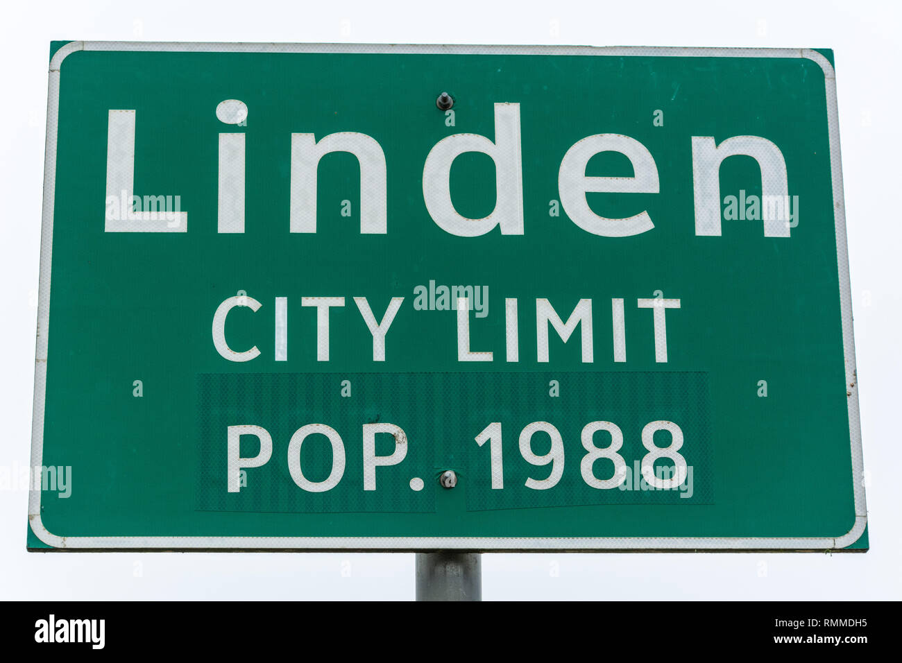 American linden hi-res stock photography and images - Alamy