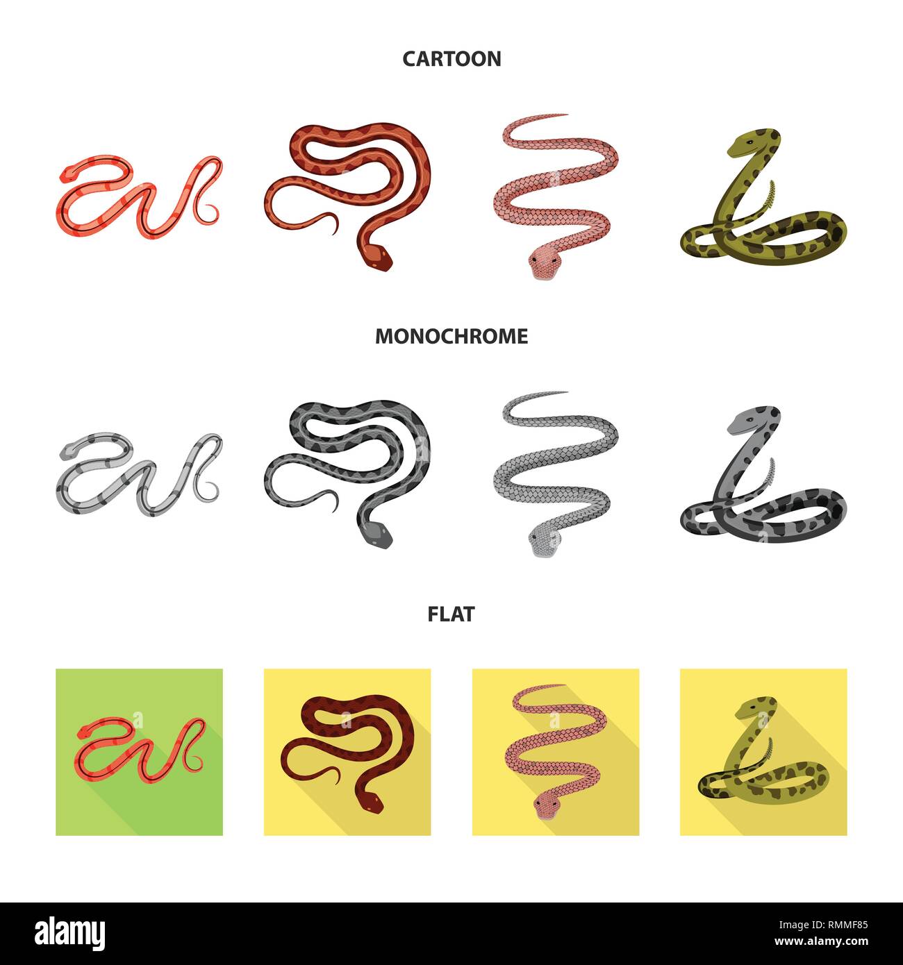 snake,viper,tail,python,spiral,forest,animal,brazil,seamless,tropical ...